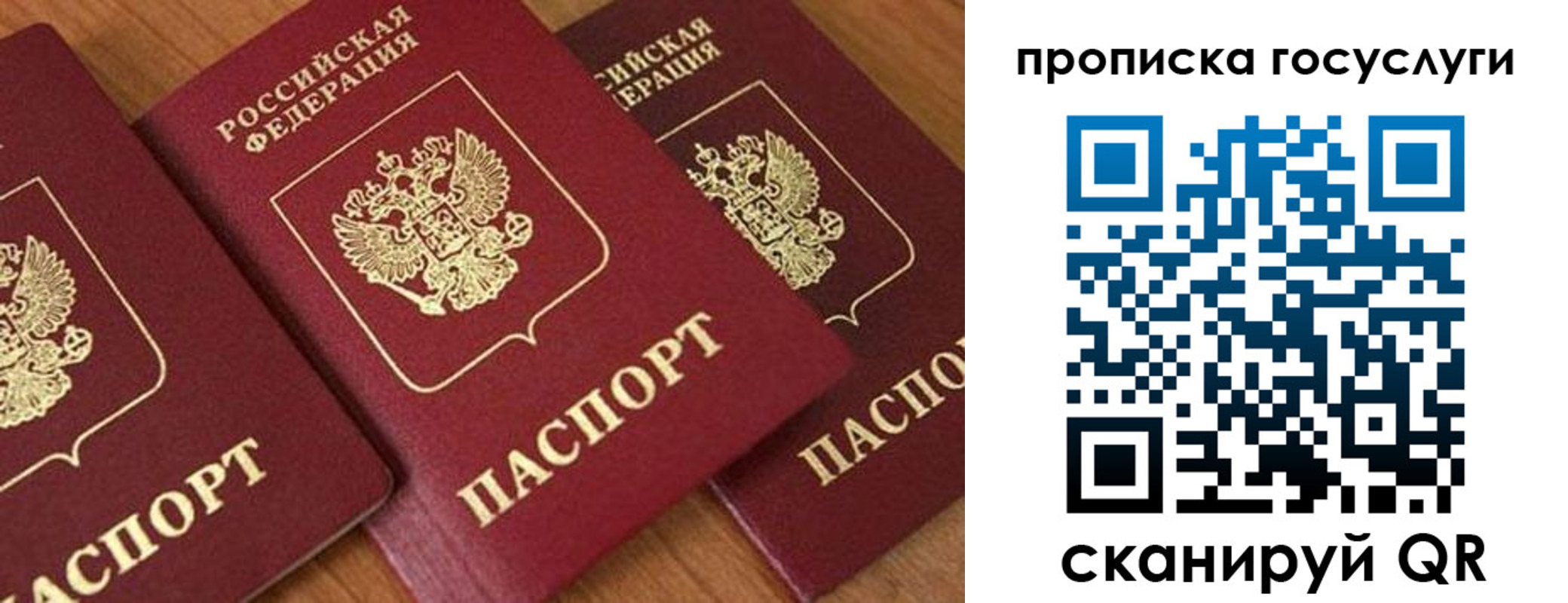 временная прописка в Черногорске